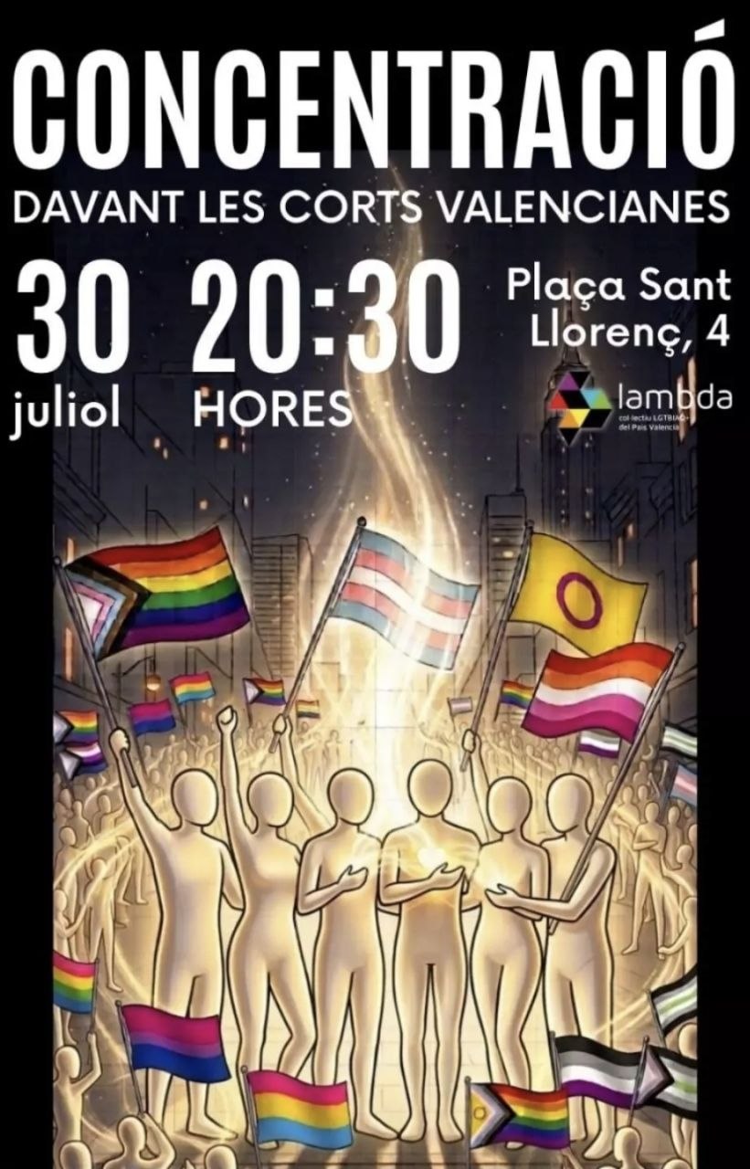 Concentració davant les Corts Valencianes